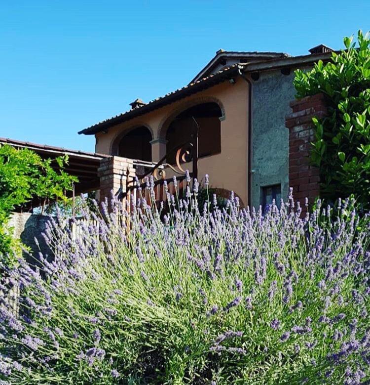 Bed and Breakfast Il Casolare Penna Exterior foto