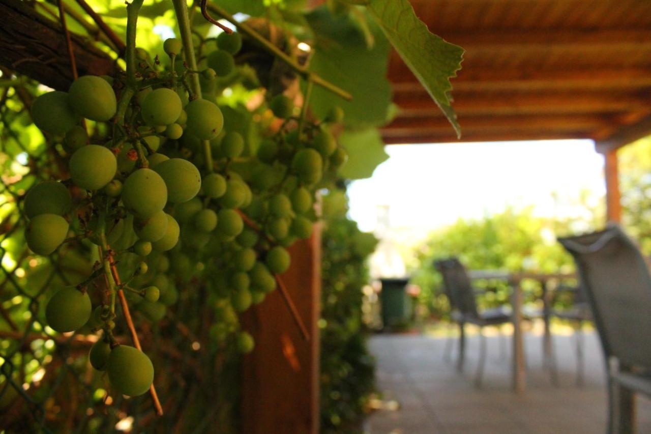 Bed and Breakfast Il Casolare Penna Exterior foto